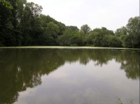 Rybník Olšák