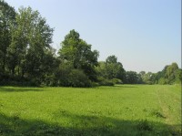 Mezi Odrou (vpravo) a Křivým jezerem