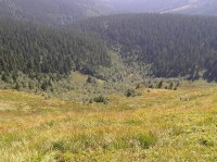 pohled do Velké kotliny: Pohled z hrahy kotle pod vrcholem Vysoké hole. Na snímku jsou dobře patrné lavinové dráhy zasahující dole hluboko do smrkového lesa.