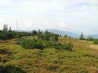 pohled z Pece na tur. trasu od Ztracených kamenů (v pozadí Hraběšická vrchovina)