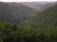 údolí Dyje pod Vranovem: jaro 2005