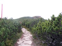 Kepa -  pěšina z Kepy k vrcholu Babiej Góry (září 2012)