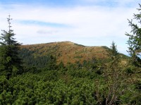 NPR Babia hora - klečový stupeň - na pozadí Malá Babia hora (září 2012)