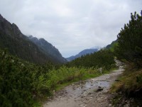 Dolina Roztoki (Tatry)