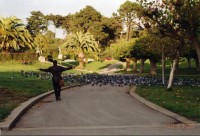 secvičná holubů v SF parku