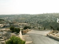 Výhled z Olivové hory