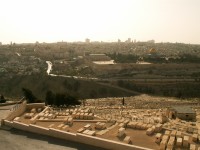 Výhled z Olivové hory