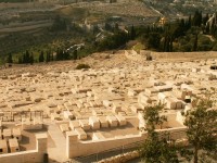 Olivová hora - židovský hřbitov