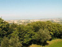 Montegridolfo - výhled do okolí