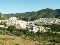 Moulay Idriss