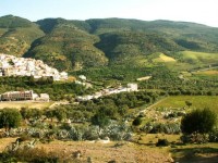 Moulay Idriss