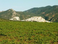 Moulay Idriss