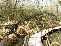 cesta po břehu potoka - dřevěná kostra dinosaura
