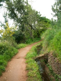 Levada da Serra da Faial