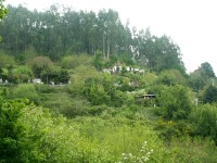Levada da Serra da Faial