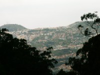 Výhled na Funchal