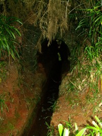 Levada da Serra da Faial