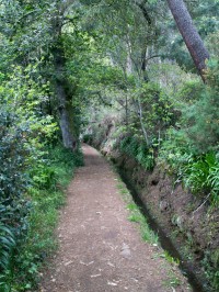 Levada da Serra da Faial
