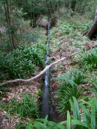 Levada da Serra da Faial