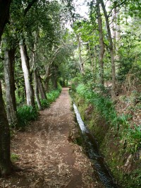 Levada da Serra da Faial