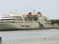 Lobo Marinha plující na Porto Santo
