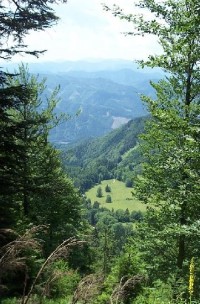 Výhled při zpáteční cestě do údolí