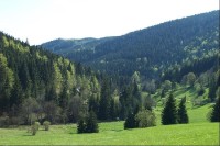 Údolí