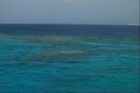 Korálové útesy pod hladinou