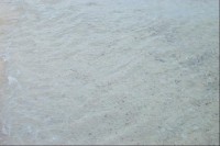 Průzračná voda, v níž je spousta úlomků korálů