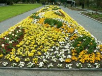 Botanická zahrada na jaře
