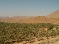 Hajjarské hory a palmová oáza
