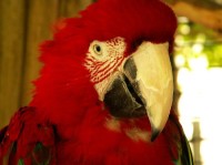 ZOO