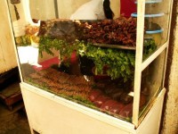 Stánek s občerstvením