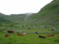 Fannaráken: údolí Helgedalen
