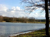 Hradecké lesy - rybník Datlík