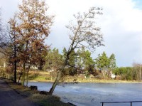 Hradecké lesy - rybník Cikán