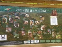 Zoo děčín