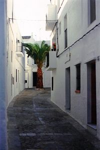 I palma se sem vejde, Vejer de la Frontera