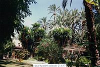 Elche, Palmová zahrada, Španělsko