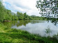 Dolní Žišpašský rybník, Blato