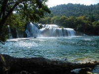 NP Krka