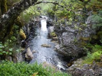 Skotsko, vysočina West Highlands, river Affric