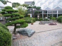 Německo, Essen, Grugapark, Japonská zahrada
