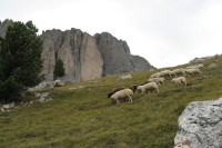 Obyvatelky Dolomitů