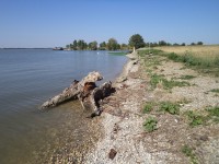 Šamorín-vodní dílo Gabčíkovo