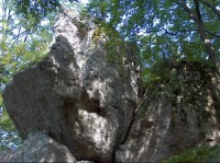 Jaskinie Olsztyńskie