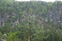 Skały Bastei