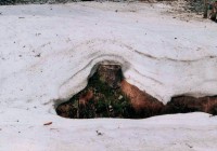 kolikrát že na Šumavě tu zimu sněžilo?