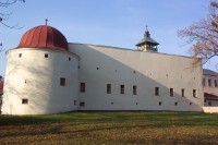 zámek Dřevohostice