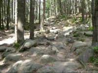 Kamenitá cesta k jezeru